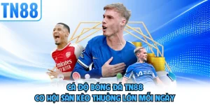 Cá Độ Bóng Đá TN88 - Cơ Hội Săn Kèo Thưởng Lớn Mỗi Ngày