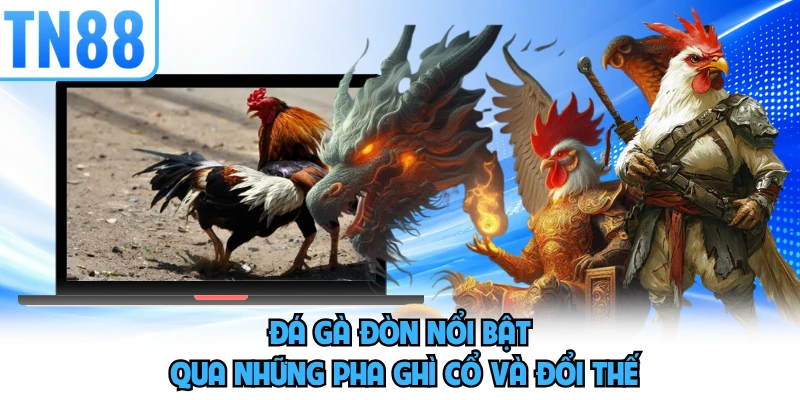 Đá gà đòn nổi bật qua những pha ghì cổ và đổi thế